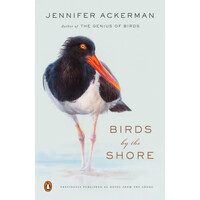 Birds by the Shore