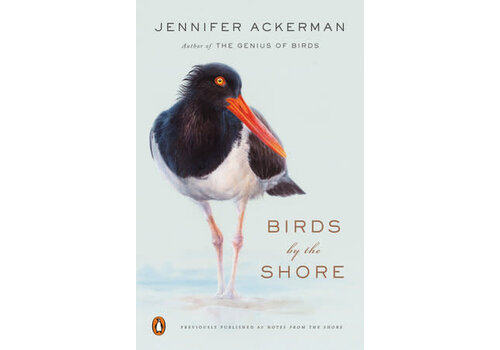  Birds by the Shore 