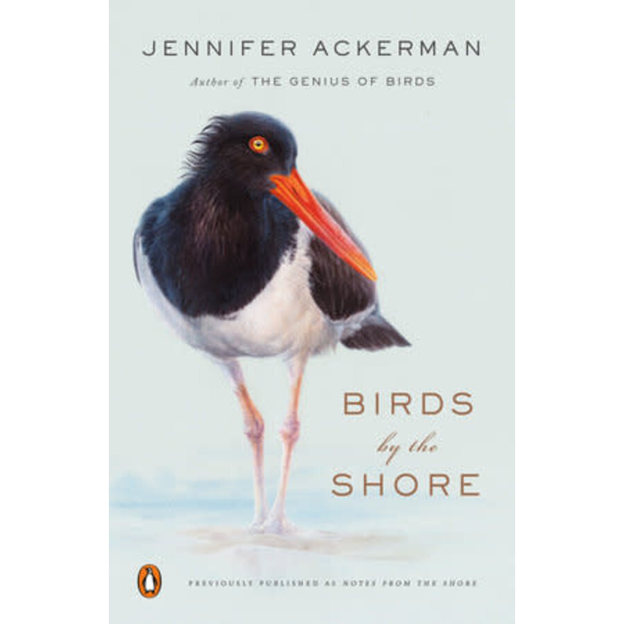 Birds by the Shore