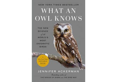  What an Owl Knows 