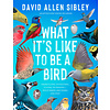 What It's Like to Be a Bird (Young Readers)