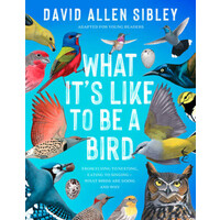 What It's Like to Be a Bird (Young Readers)