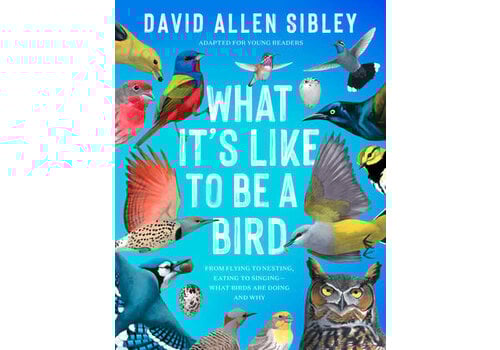  What It's Like to Be a Bird (Young Readers) 