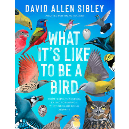  What It's Like to Be a Bird (Young Readers) 