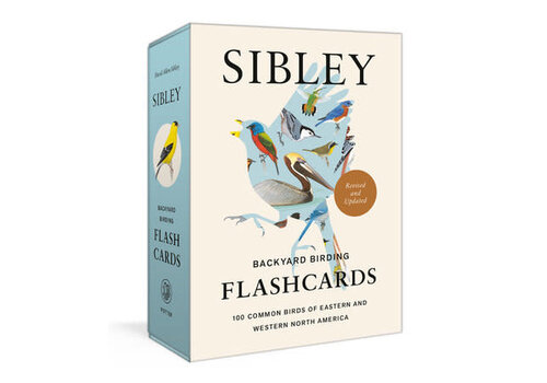 Sibley Backyard Birding Flashcards   Sibley Backyard Birding Flashcards