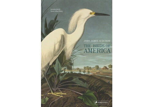  The Birds of America 