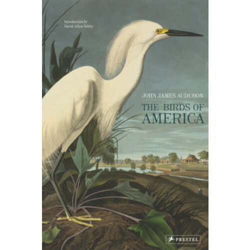  The Birds of America 