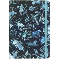 Constellations Journal