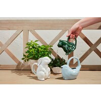 Stoneware Mini Watering Can