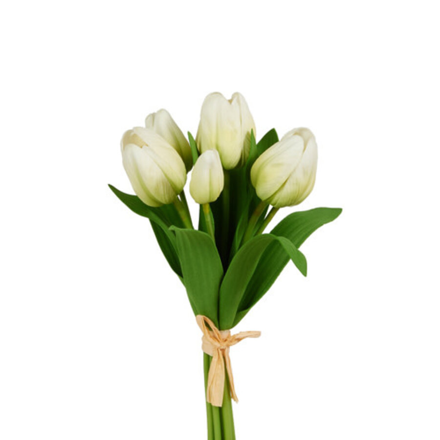 12" Tulip Bundle