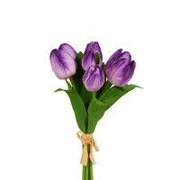 12" Tulip Bundle