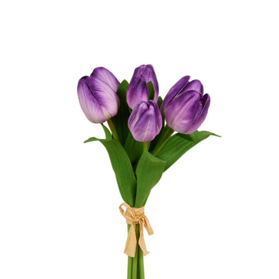 12" Tulip Bundle