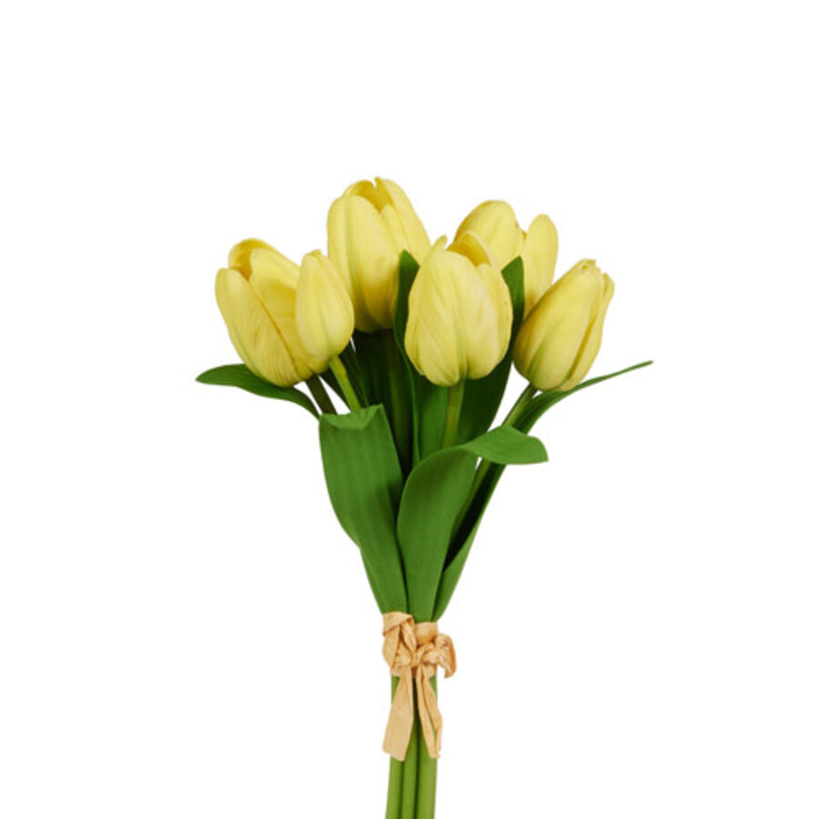 12" Tulip Bundle