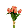 12" Tulip Bundle 12" Tulip Bundle