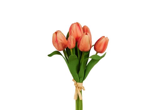  12" Tulip Bundle 