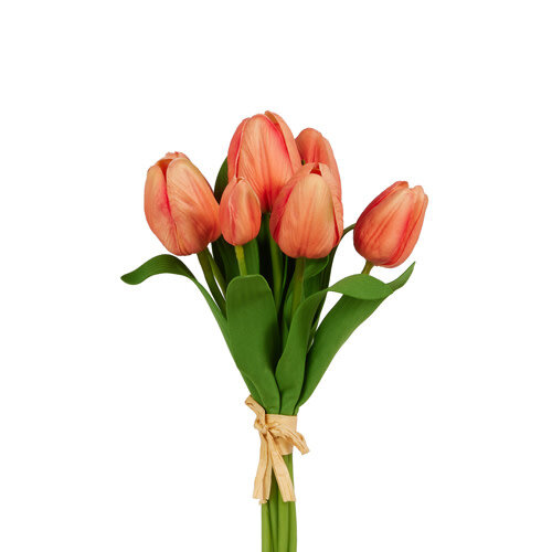  12" Tulip Bundle 
