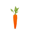 16" Flocked Orange Carrot with Leaves