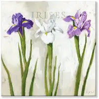 Iris Trio Giclee Wall Art 5" x  5"