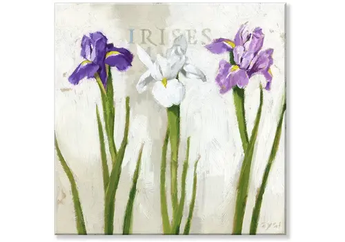  Sullivans Iris Trio Giclee Wall Art 5" x  5" 