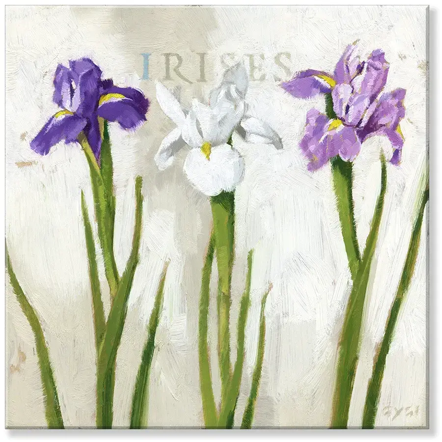 Iris Trio Giclee Wall Art 5" x  5"