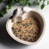 Heart Shape Bird Feeder