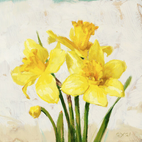  Sullivans Daffodils Giclee Wall Art 5" x  5" 