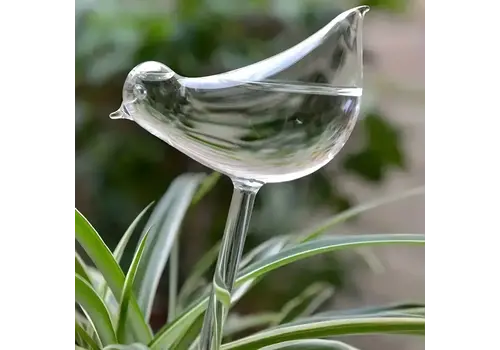  Magnifique Hearts Bird Shaped Self Watering Bulb 