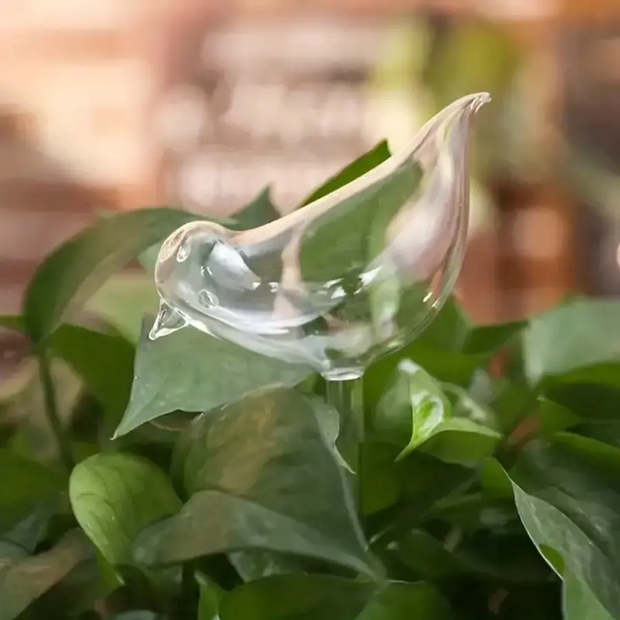 Bird Shaped Self Watering Bulb
