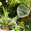 Magnifique Hearts Heart Shaped Self Watering Bulb