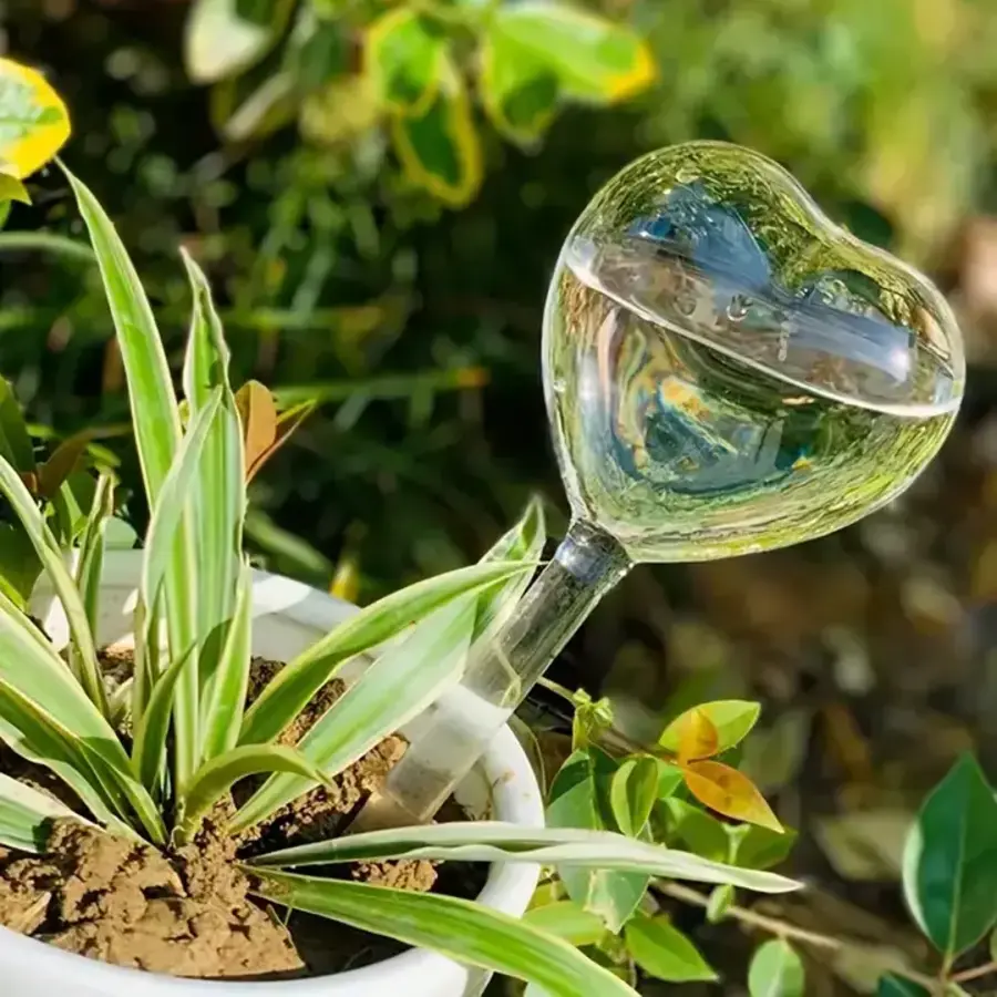 Heart Shaped Self Watering Bulb