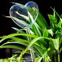 Heart Shaped Self Watering Bulb