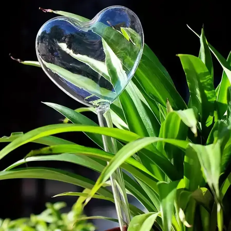 Heart Shaped Self Watering Bulb
