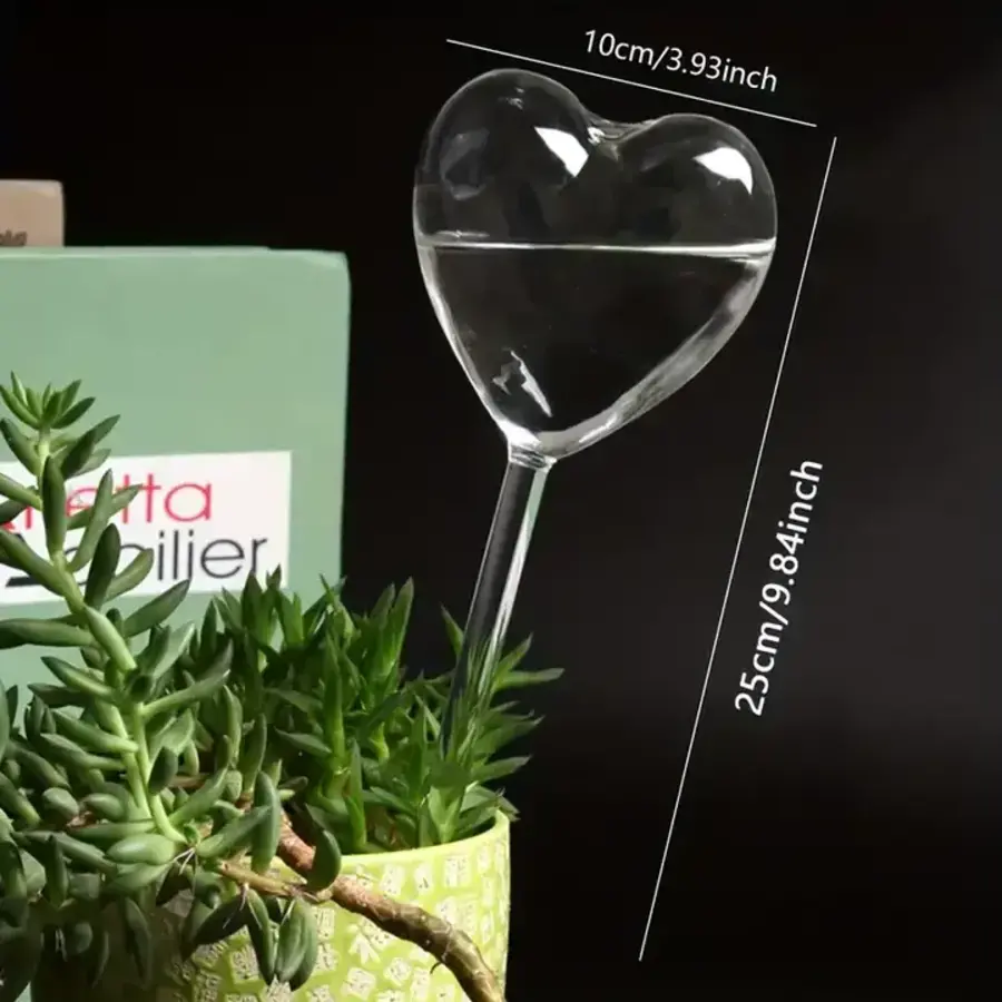 Heart Shaped Self Watering Bulb
