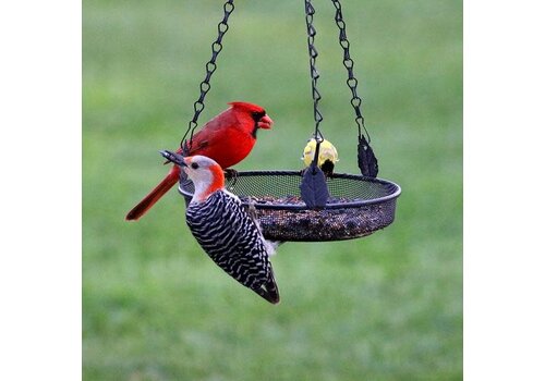  Hanging Tray Feeder 