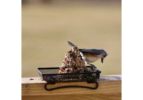  Deck & Ground Tray Feeder 