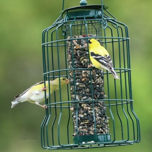  Petite Caged Seed Feeder 
