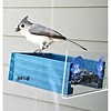 Petite Blue Window Feeder_
