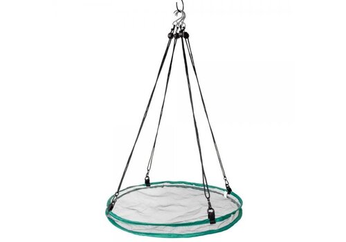  Seed Hoop 16" 