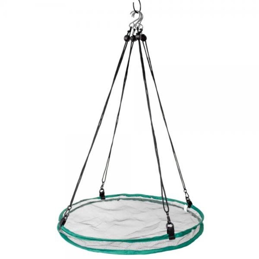 Seed Hoop 16"