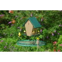 Seed Hoop 16"