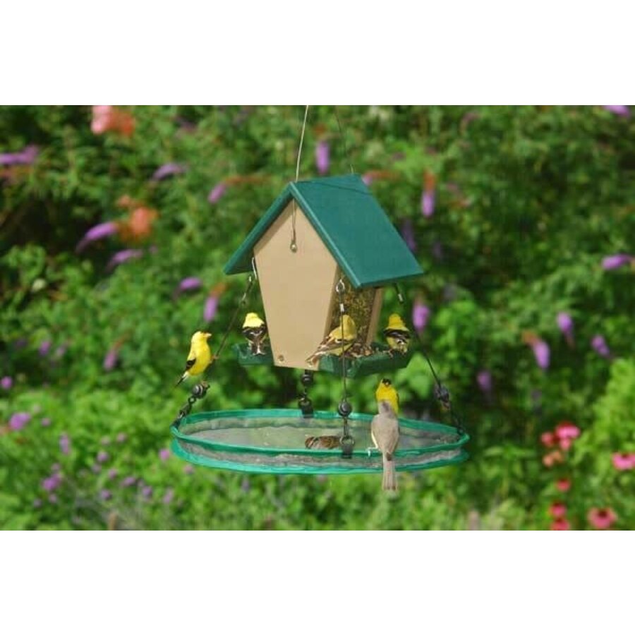 Seed Hoop 16"