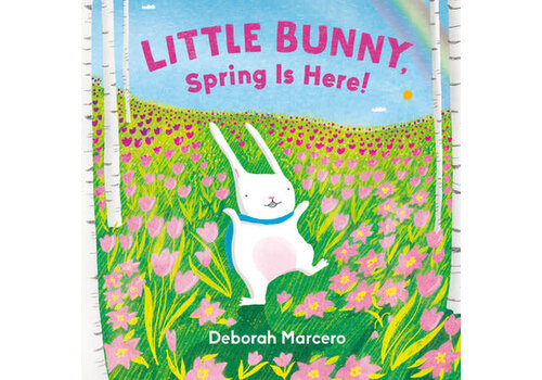  Little Bunny, Spring Is Here! 