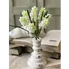 Hyacinth Hills Bush 11" Cream