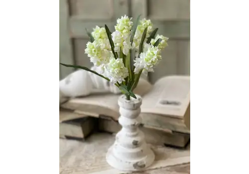  Hyacinth Hills Bush 11" Cream 