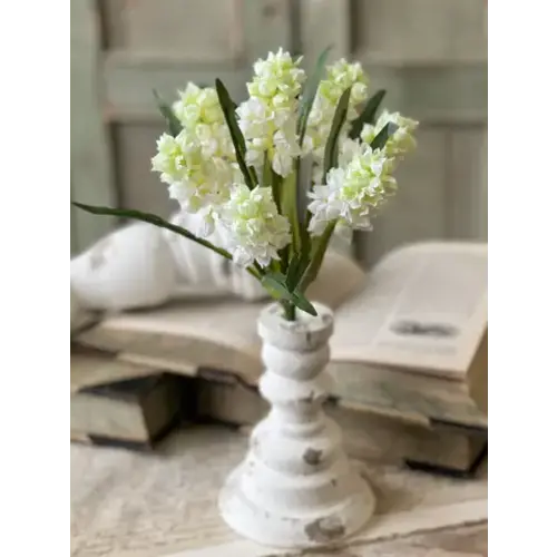  Hyacinth Hills Bush 11" Cream 