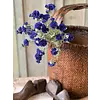 Bachelor Buttons 24" Sapphire