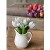 Poppet Tulip Bundle 8.5"Cream