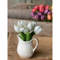 Poppet Tulip Bundle 8.5"Cream