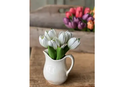  Poppet Tulip Bundle 8.5"Cream 