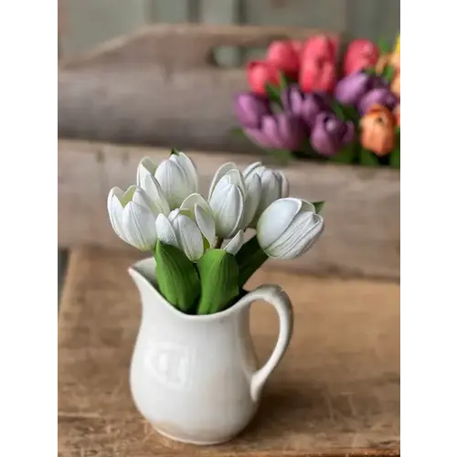  Poppet Tulip Bundle 8.5"Cream 